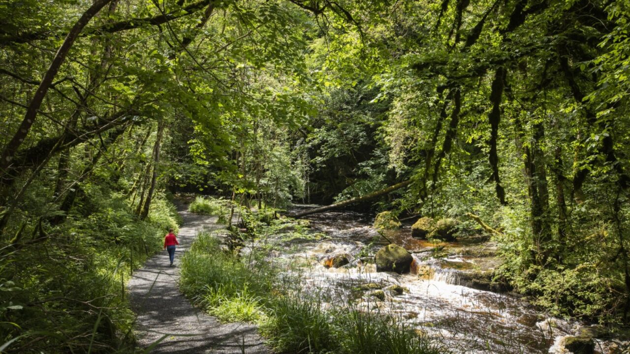 Cladagh Glen