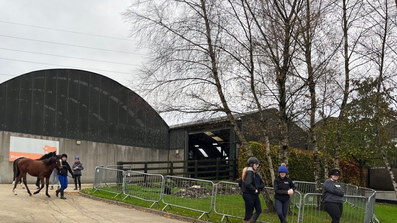 Agricultral Liaison Group Visit to Cafre Enniskillen (2)