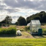 Riverside Allotments Ballinamallard (1)