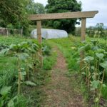 Rouskey Community Garden (2)