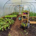 Rouskey Community Garden (3)